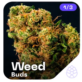 ☘️ Шишки\Бошки MIX WEED ☘️